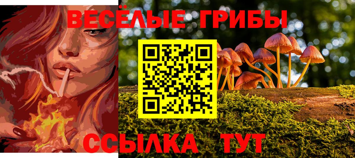 Лосино-Петровский  где продают наркотики  Галлюциногенные грибы мицелий  Вход с VPN  Галлюциногенные грибы мицелий 